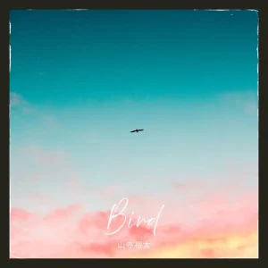 「Bird」/ 山寺裕太アートワーク