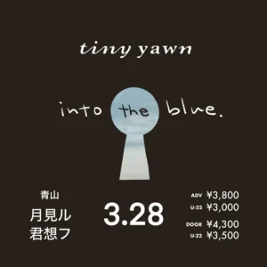 tiny yawn pre.「into the blue.」フライヤー