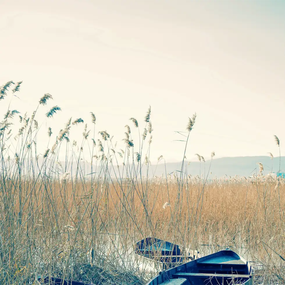 「The wind remembers」/ Runaway Horses, Ebøshiアートワーク