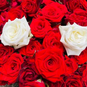 『世界中に張り巡らされてる運命の赤い糸を全部切って僕に繋いで!?』ハイエナカーアートワーク