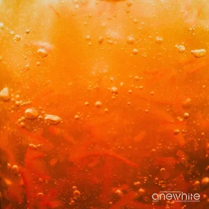 「マーマレード」anewhiteアートワーク