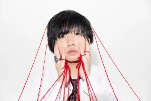 ハイエナカーアー写