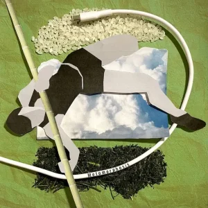 『Metamorphosis』TOMOKO IDAアートワーク