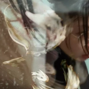 『十月』/ uamiアートワーク