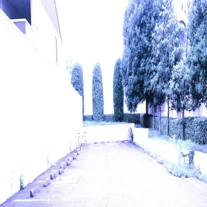 「copy that」wa(l)ternativeアートワーク