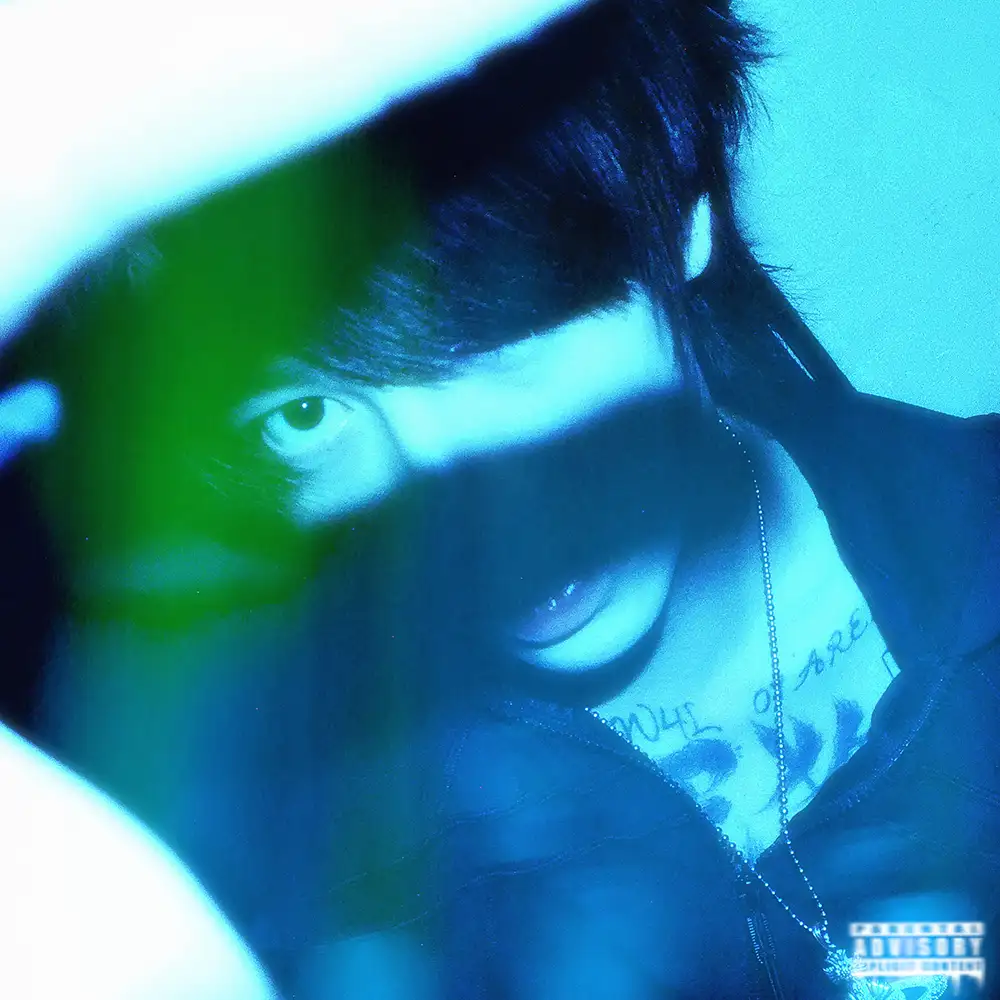 『IDOL』/ Filix王アートワーク