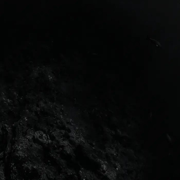 『dead water』CRZKNYアートワーク