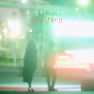 「anything」 sugar plantアートワーク
