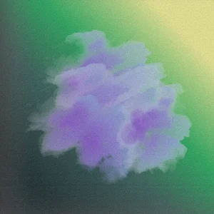 「Viola」 Wataru Fujiwaraアートワーク