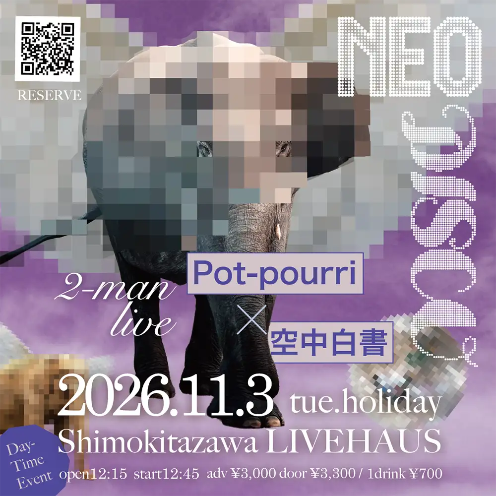 NEO DISCOフライヤー