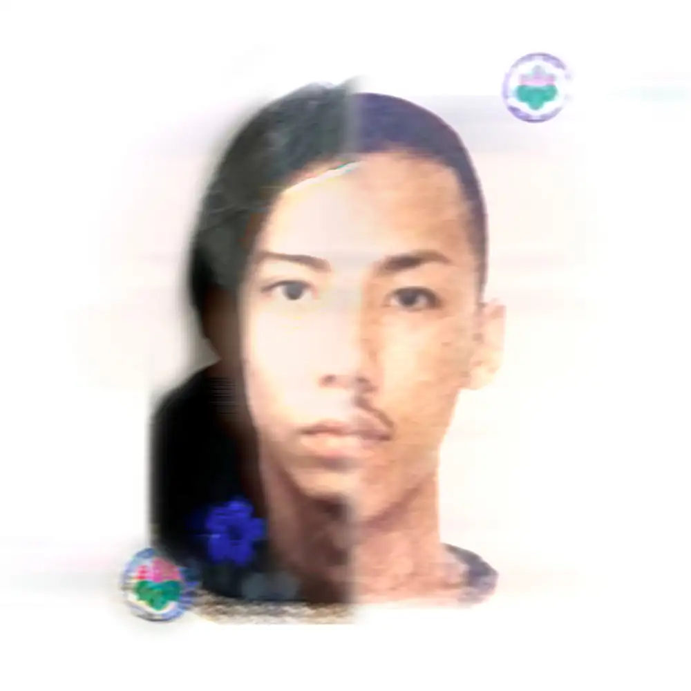 『Documentary』 / 千葉雄喜 & BABYWOODROSEアートワーク