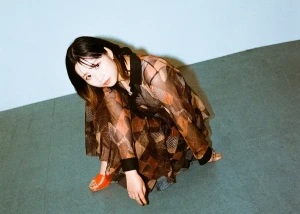 フジタ カコアー写