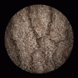 「Bakka tala!」/ Genta,アートワーク