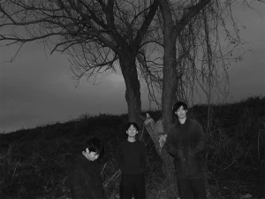 Hoboken Surpriseアー写