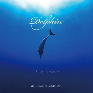 「Dolphin」/ 関口シンゴアートワーク