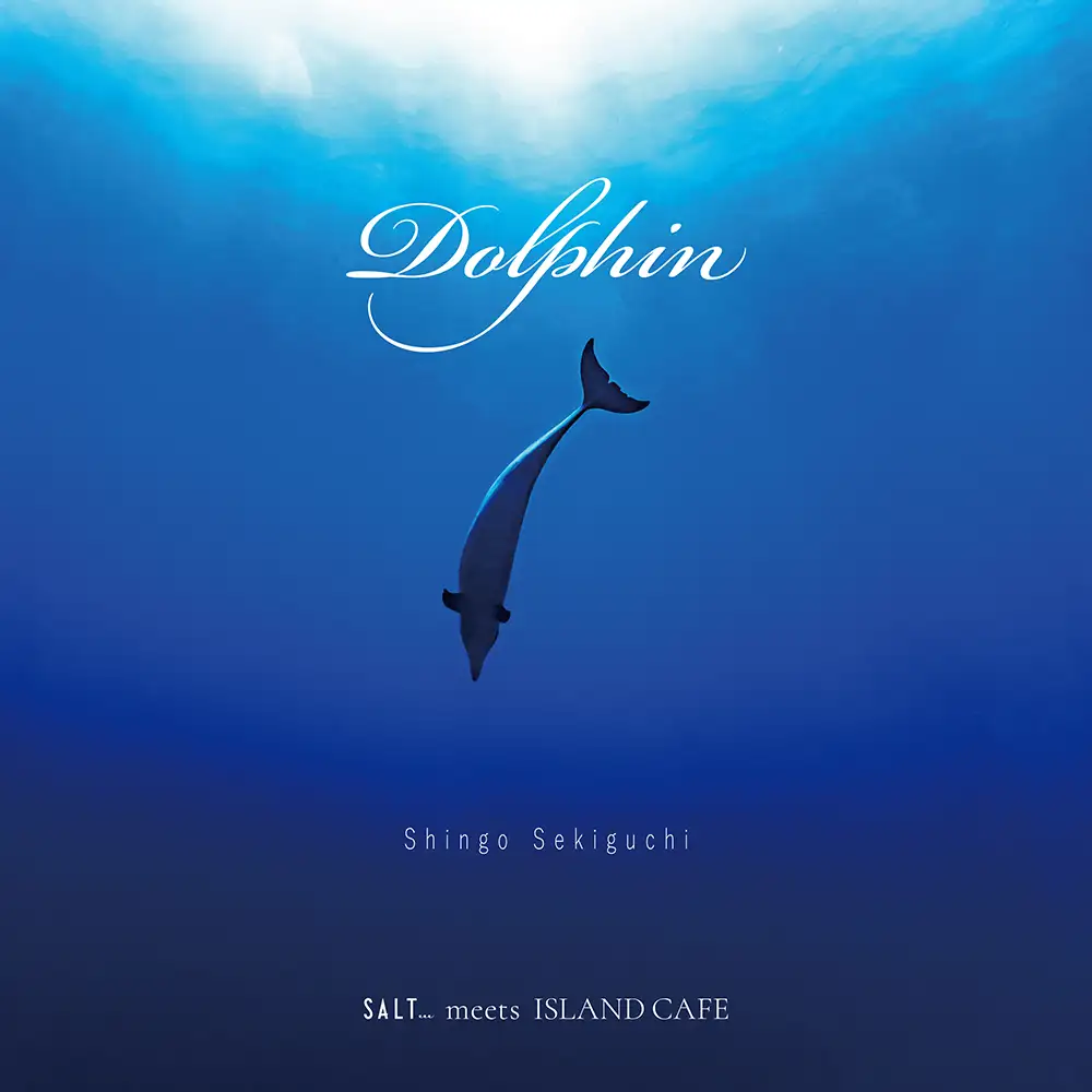 「Dolphin」/ 関口シンゴアートワーク