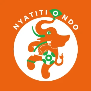 「NYATITI ONDO ニャティティ音頭」/ アニャンゴアートワーク