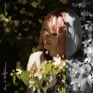 「Iron to Wildflowers」/ Jun Futamataアートワーク