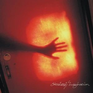 「Absolutely Imagination（2ndプレス）」GEZANアートワーク