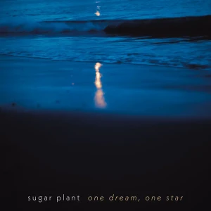 『one dream, one star』 sugar plantアートワーク