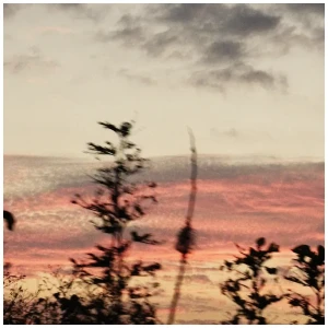 『at dusk』/ LOLOETアートワーク