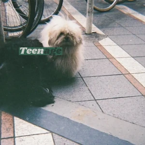 『Teenage』/ Looisbosアートワーク