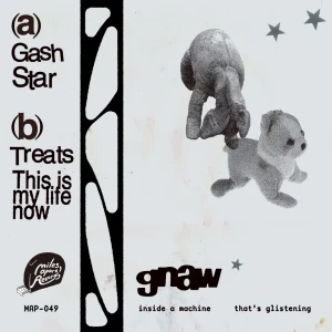 『Inside a Machine That’s Glistening』/ Gnawアートワーク