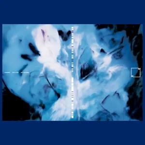 『Mutualkind』/ Asa Toneアートワーク