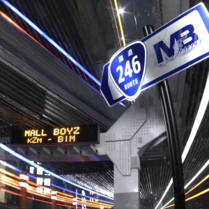 「246 (feat. Tohji & gummyboy)」/ Mall Boyz, BIM & kZmアートワーク