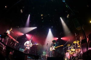 Night Gloryアー写