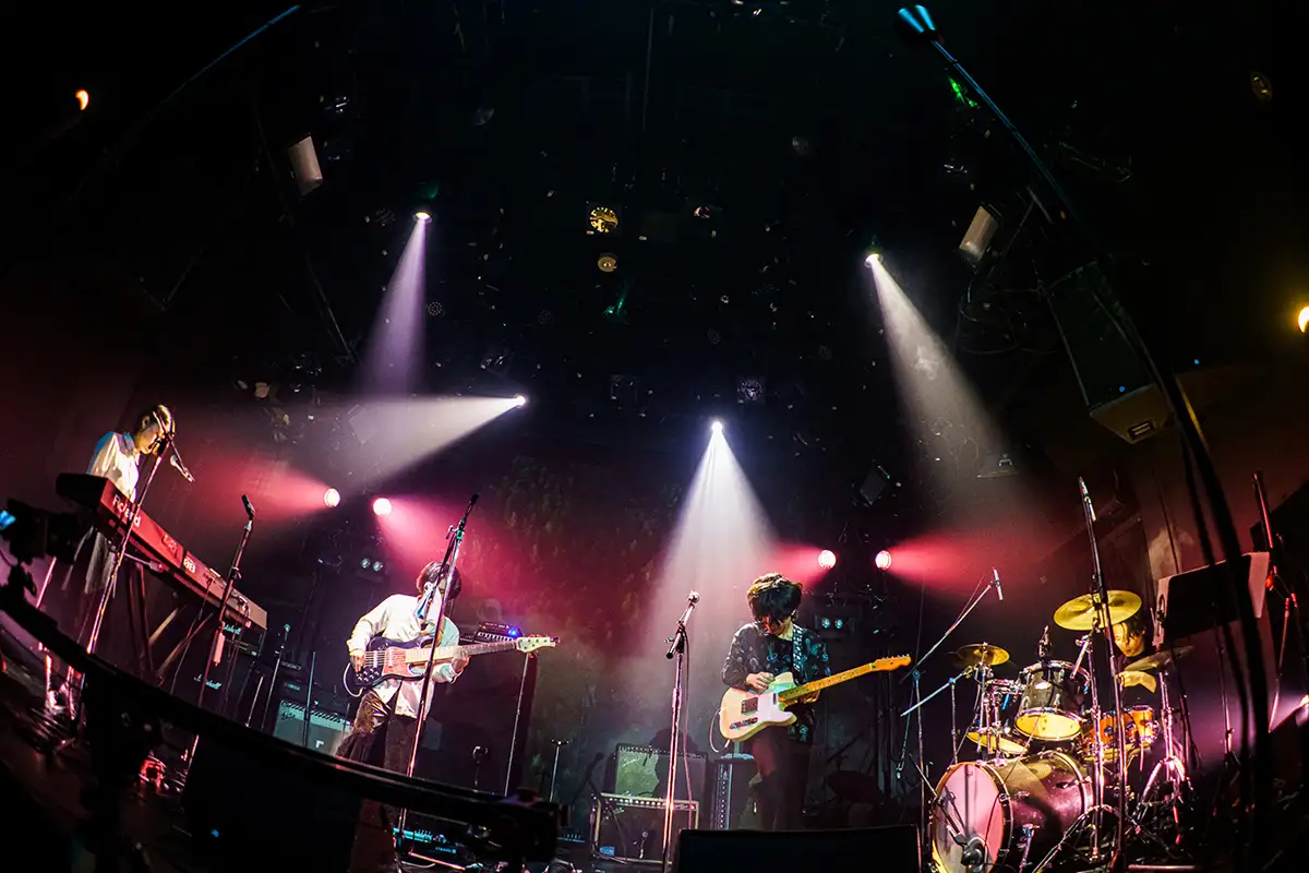 Night Gloryアー写