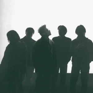 N.S. DANCEMBLEアー写