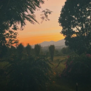 『Thailand』/ OVERFALLアートワーク