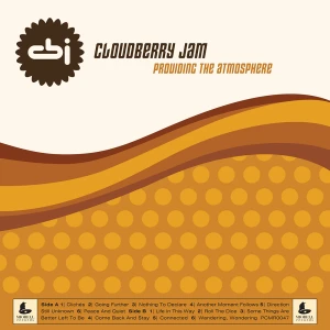 『Providing the atmosphere -30th Anniversary Edition-』アートワーク