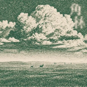 『角林 The Antler Woods』/ Prune Deerアートワーク