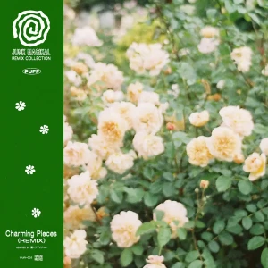 「Charming Pieces(簾ンデゲオチェロ Remix)」アートワーク