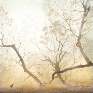 『Piano Fantasia』/ Yuki Murataアートワーク