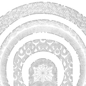 『Osni the Flare』Tristan Allenアートワーク