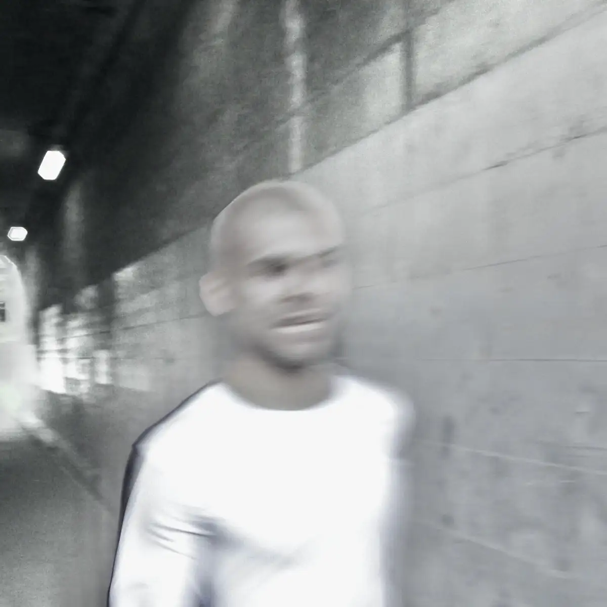 「Sunken Roge」/ Raylowgh Annnoアートワーク