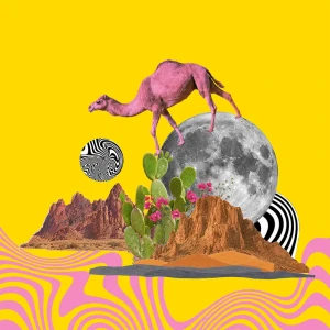 「Līlā Līlā」/ Roronuphアートワーク
