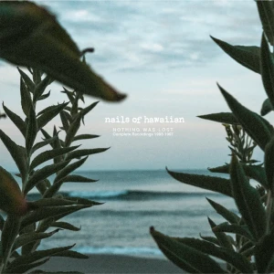 『NOTHING WAS LOST Complete Recordings 1993-1997』/ nails of hawaiianアートワーク