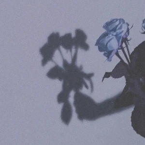 「季節」/ 佐々木海真アートワーク