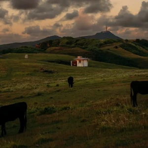 『一夏熱想』/ 光季アートワーク