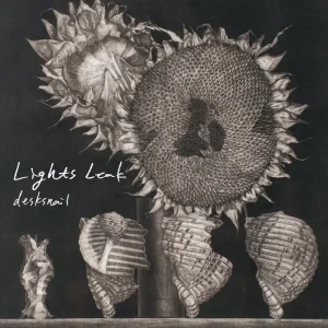 『Lights Leak』/ desksnail アートワーク