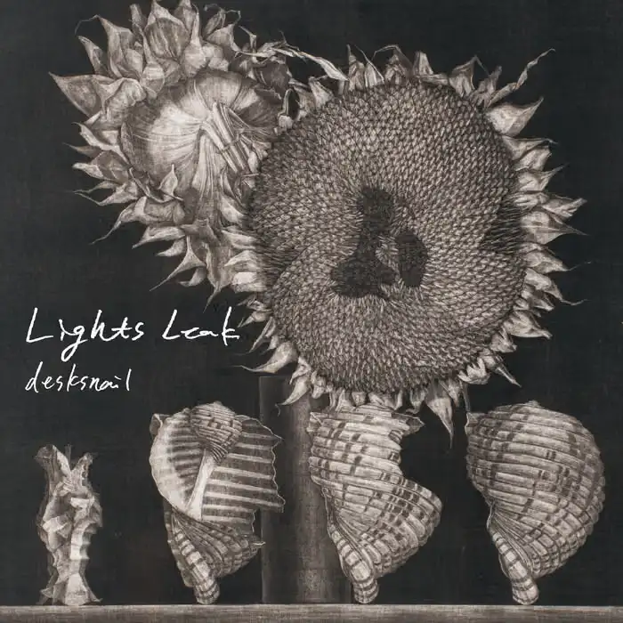 『Lights Leak』/ desksnail アートワーク