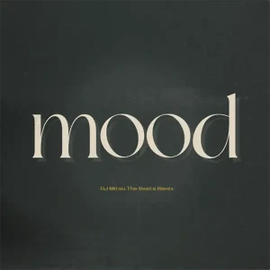 「mood feat. Nosu (DJ Mitsu The Beats Remix)」 AKIRA & DJ Mitsu The Beats