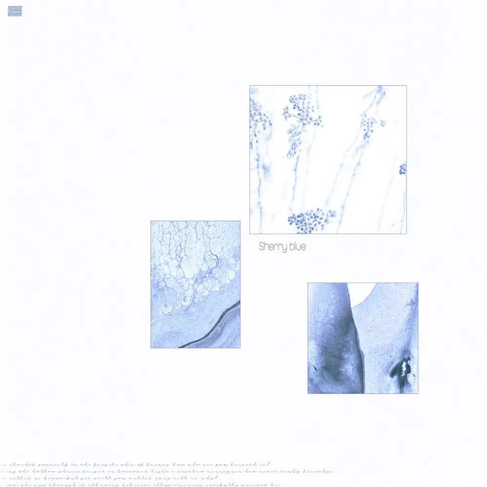 「Sherry blue」/ Almiアートワーク