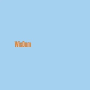「WisDom」/ Ámina, reinaアートワーク