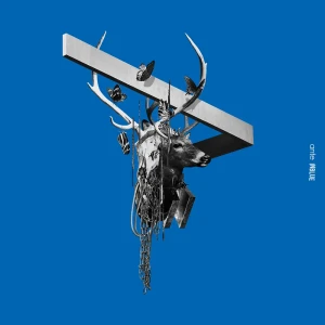 「INBLUE」/ anteアートワーク