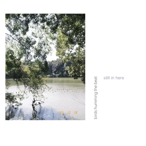 「still in here」birds humming the beatアートワーク